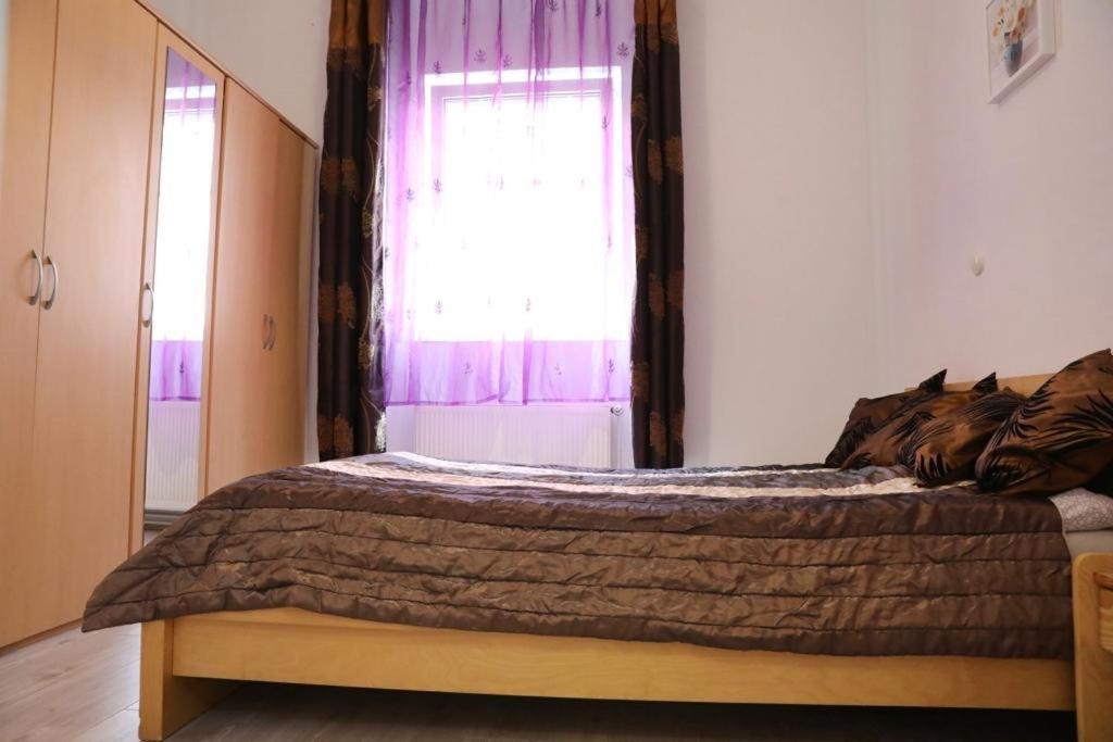 كارلوفي فاري Lana Lo Apartments المظهر الخارجي الصورة